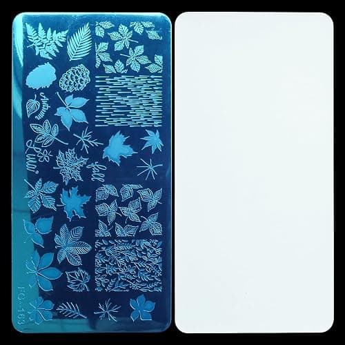 AddFavor Nail Stamper Kit 7pcs Nail Stamping Plates Flower Leaf Maple Nail Stencils with 2 Stamp and 2 Scraper for Home Salon Manicure Design Supplies Tools thumbnail 6