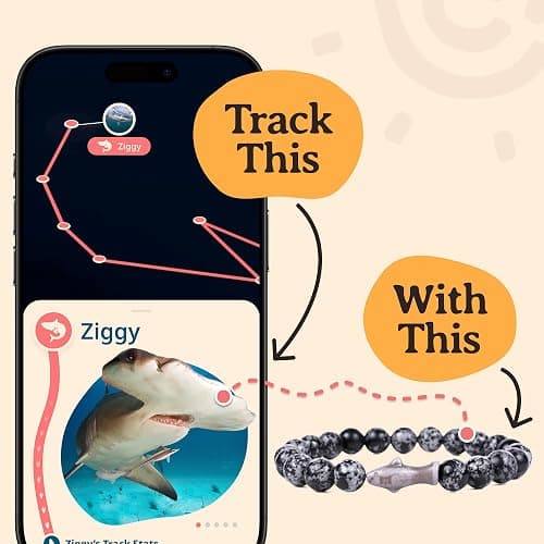Fahlo Shark Tracking Bracelet, Elastic, supports Saving The Blue, one size fits most for Men and Women thumbnail 4