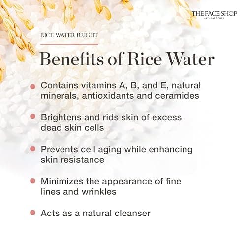 The Face Shop Rice Ceramide Moisturizing Cream - Rice Extract + Rice Bran Oil - Hydrating Targets Dryness, Brightening - Dermatologically Tested - Lightweight Moisturizer Face Cream - Korean Skin Care thumbnail 9