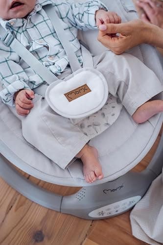MoMi KENANI Transat balancelle jusqu’à 9 kg, pliable, télécommande et Bluetooth pour smartphone, alimentation piles et secteur, harnais de sécurité 5 points, pare-soleil, moustiquaire thumbnail 16
