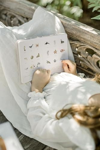 Our Little Library Vol. 2: First 100 Words Board Book Box Set, including Ocean Animals, Safari Animals, Food and Drink, Clothes, and Around the House (Tabitha Paige Children's Book Series) thumbnail 3