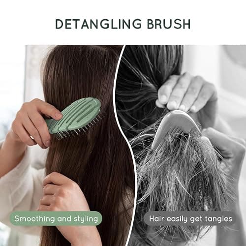 Ecoed Detangler Hairbrush, Soft Bristle Detangling Brush for Straight, Wavy, Curly and Fine Hair, Dry and Wet, Quick Smoothing for Women and Men, Eco-Friendly & Sustainable Material (Green) thumbnail 6