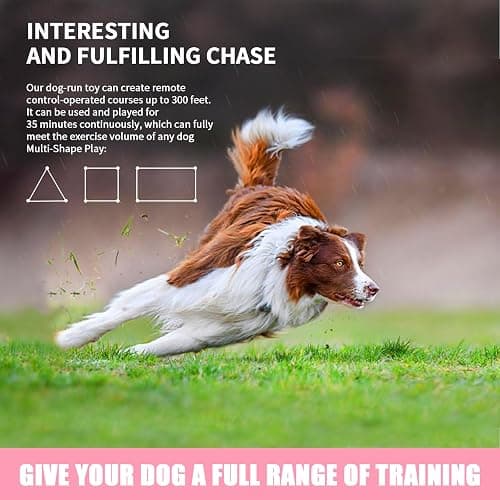 DC-1 Dog Toys for Large Dogs，Lure Coursing Machine,Dog Chase Toy Motorized Line，Dog Agility Course Backyard Set，Dog Toys thumbnail 5