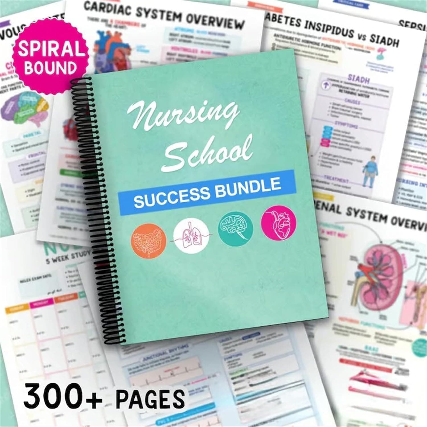 Nursing School Success Bundle,Nursing School Notes Success，Nursing School Success Bundle Nurse Well Versed,Nursing School Essentials thumbnail 4