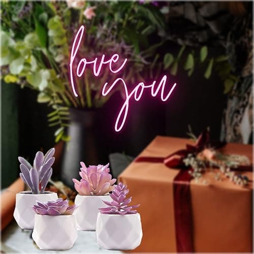 CADNLY Fake Succulent Plant Set - Artificial Desk Plants for Women Desk - Realistic Faux Succulents in Ceramic Pots - Mini Purple Decor for Bedroom Bathroom Office Shelf 4 Pack thumbnail 6