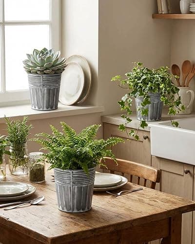 vensovo 5 Inch Galvanized Bucket Planter - 6 Pack Metal Flower Pots with Drainage Holes & Plugs, Rustic Silver Tin Pots for Indoor Herbs, Outdoor Succulents, Farmhouse Home Garden Decor thumbnail 7