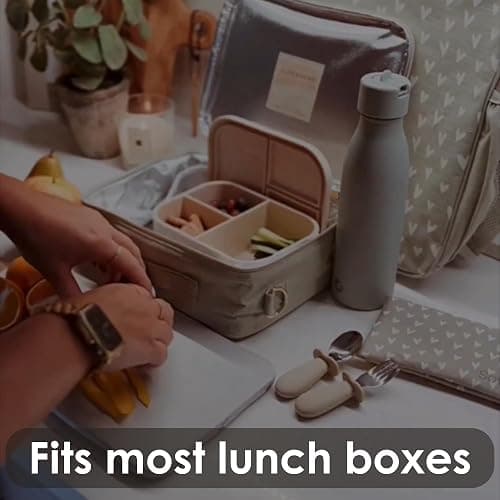 Ali+Oli Silicone Bento Box for Kids, Baby Lunch Box, BPA-Free, Spill-Proof | Daycare, Preschool, Food separation, Portion control, Snack storage, Travel-friendly, Easy cleaning, Toddlers thumbnail 6