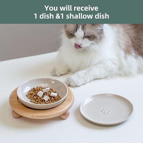 Havniva Cat Bowls Elevated 5.6” Ceramic Cat Bowl with Stand Whisker Friendly Shallow Cat Dishes, Cat Food & Water Bowl Set with Two Heights Options, Anti-Slip Raised Cat Food Bowl for Kitten thumbnail 6