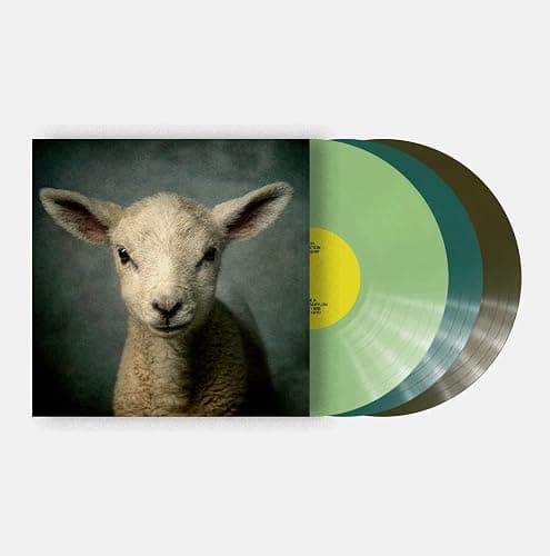 Elevation Worship - Lion Exclusive Green Blue Olive - Image 1