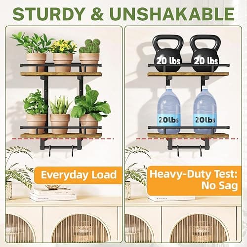 iDavosic.ly Wall Plant Holder Set of 2, 2 Tier Indoor Floating Shelves with 4 Hooks for Hanging Plants, Wall Mounted Space Saving Display Stand for Living Room Bedroom (Pots/Chains Not Included) thumbnail 3