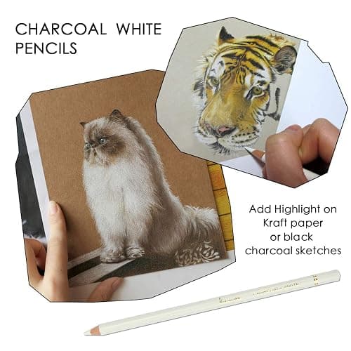 Brusarth Professional White Charcoal Pencils Set - 3 Pieces Sketch Highlight White Pencils for Drawing, Sketching, Shading, Blending, Adding Highlights thumbnail 5