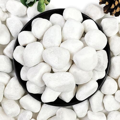 YISZM 5lb White Pebbles for Indoor Plants, 1-2 Inch Natural River Rocks, Snow White Decorative Stones, Ideal for Fish Tank, Vases, Crafting, Home Decor and Garden Landscaping Rocks - Image 1