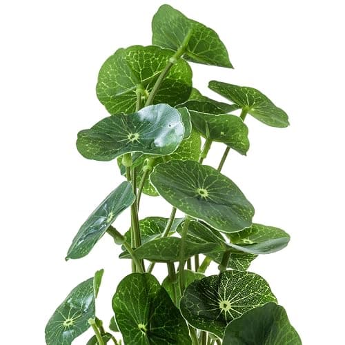 MyGift Set of 3 Fake Plants, Small Artificial Potted Plants Indoor in Clear Glass Pot, 9.5 Inch Faux Plant for Home Decor thumbnail 8