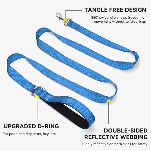 Joytale Dog Leash, 6 FT Double-Sided Reflective, Padded Handle Nylon Heavy Duty Leashes for Medium & Large Dogs Walking, SkyBlue thumbnail 5