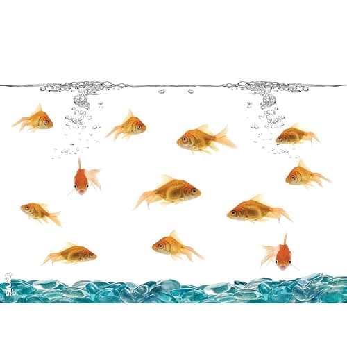 Goldfish tumbler thumbnail 3
