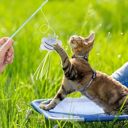 NOWFRESH Cat Wand Toy Set, 2 PCS Interactive Cat Teaser Wands with Cute Bee & Mouse Designs, Equipped with Bells and Streamers to Captivate Your Cat’s Attention thumbnail 5