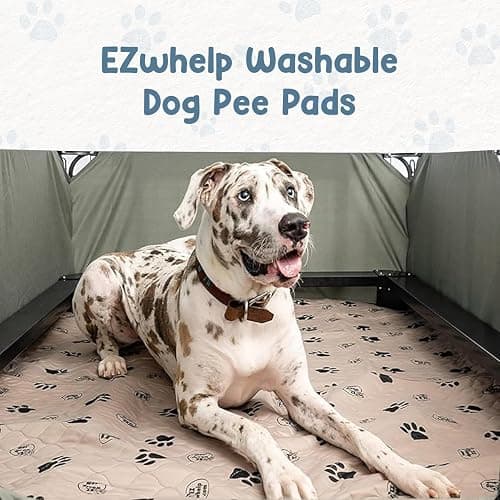 EZwhelp Reusable Dog Pee Pads, Washable Waterproof Mats for Potty Training or Whelping Pads, Puppy Pad with Rounded Corners, 36x48 Inch, 2 Pack thumbnail 2