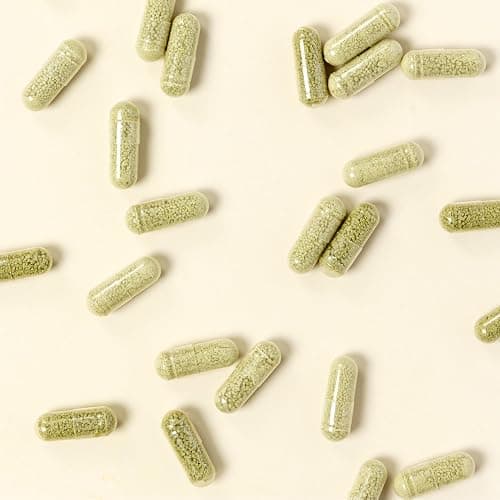 MaryRuth Organics Complete Gut Health+ Capsules | 5 Probiotic Blend | Butyrate | Corebiome® | Vegan Gut Support | Support Gastrointestinal Health & Microbiome | 2 Capsules Daily | 30 Servings thumbnail 10
