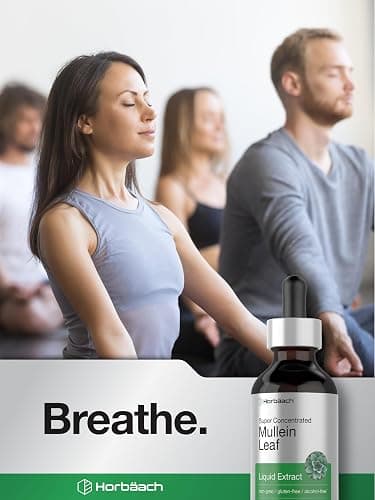 Horbäach Mullein Leaf Extract Drops | 2 fl oz | Alcohol Free Liquid Tincture | Vegetarian, Non-GMO & Gluten Free Herbal Supplement thumbnail 6