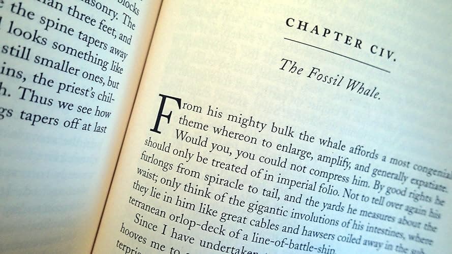 Moby-Dick (Barnes & Noble Classics Series) thumbnail 3