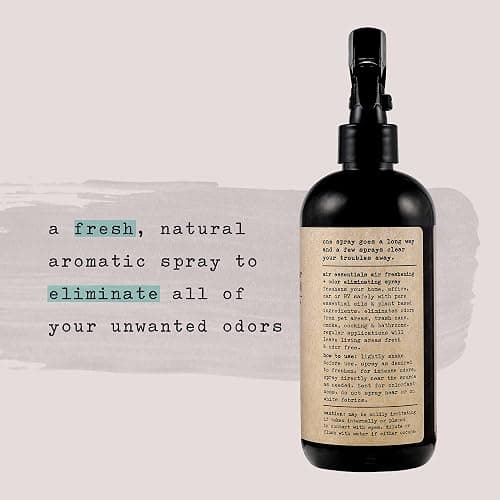 Air Essentials 12 oz Air Freshener & Odor Eliminator Spray - Neutralize Odors from Smoke, Pets, Food & Garbage in Homes, Offices & Cars - Made with Clean Essential Oils (Eucalyptus Mint, 2-Pack) thumbnail 4