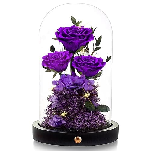 Agrul Flowers Roses Gifts for Mom,Forever Real Preserved Roses in Glass Dome,Mothers Day for Wife Girlfriend Women Best Friend Grandma/Purple Rose - Purple