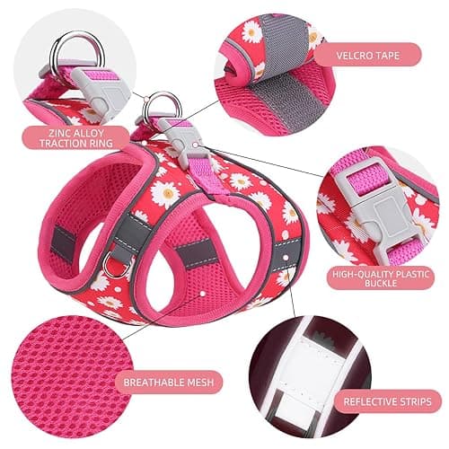Step in Dog Harness and Leash Set, Flower Adjustable Easy Walk Puppy Harnesses, Soft Mesh No Pull Pet Vest Harness for Small Medium Dogs(Strawberry, S) thumbnail 3