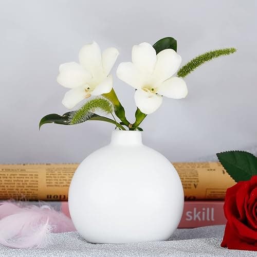 YAJODI Ceramic Vase Small White Vase- Flower Vases for Home Decor, Dry Flower Vases for Modern Farmhouse, Living Room Decoration, Table Décor, Bookshelf, Mantle, Entryway (White) thumbnail 4