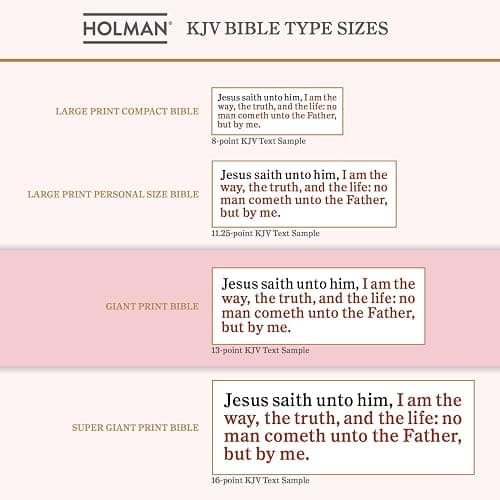KJV Holy Bible, Giant Print with Cross-References, Soft Pink LeatherTouch with Floral Cover Design, Thumb Index, Ribbon Marker, Red Letter, Full-Color Maps, Easy-to-Read MCM Type, King James Version thumbnail 6
