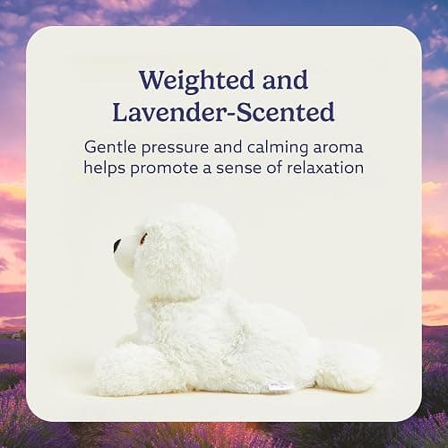 warmies Microwavable & Weighted Stuffed Animals, Seal - Heated Stuffed Animal Plushie for Warmth & Comfort - Cute Soft Plush Toys for Adults & Children (Boys, Girls, Babies & Toddlers) thumbnail 3