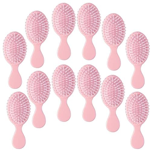 12 pcs Mini Hair Brush,Travel Detangling Brush with Exquisite Packaging Box,Mini Brush for Most Hair Types,Bridesmaid Party Christmas Stockings Filling Wet Hair Brushes (Pink) - Image 1