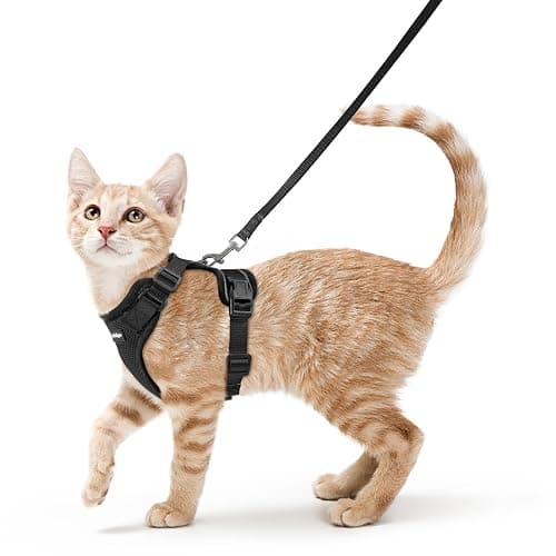rabbitgoo Cat Harness and Leash for Walking, Escape Proof Soft Adjustable Vest Harnesses for Cats, Easy Control Breathable Reflective Strips Jacket, Black, S - Image 1