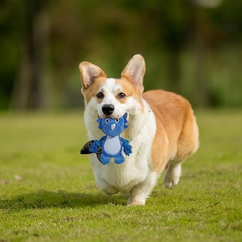 (1 Pack) Blue triceratops plush dog toy w squeaker thumbnail 5