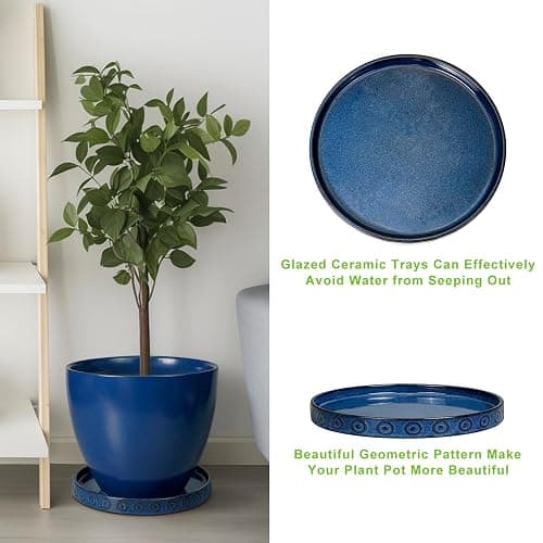 Eightpot Plant Pot Saucer - 11.4 Inch Plant Saucer for Outdoors Ceramic Plant Tray for Indoors No Holes Large Plant Drip Trays Round Flower Pot Saucer Plant Dishes to Catch Water Blue thumbnail 6