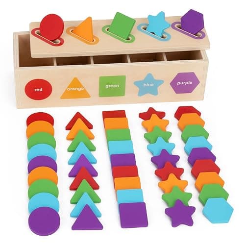 Montessori Toys for 1 2 3 Year Old | Color Sorting & Stacking Matching Toys | Learning Sorting Toys for Toddlers 1-3 Year Olds | Educational Toy Gift for 2 Year Old Boy Girl - Image 1