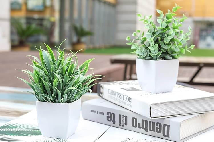 Der Rose 2 Pack Small Fake Plants Mini Artificial Potted Plants for Table Desk Home Laundry Room Bathroom Office Decor thumbnail 2