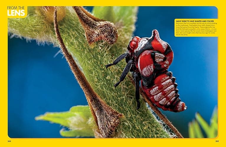National Geographic Kids Animal Encyclopedia, 2nd Edition: 2,500 Animals with Photos, Maps, and More! (NGK Encyclopedias) thumbnail 7
