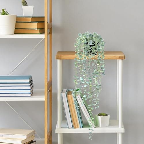 HOFMEFY Fake Hanging Plant Eucalyptus Artificial Faux Plants Indoor Small Wall Greenery Decor for Shelf with Black Pot Soft Green 1PCS 23Inch Long thumbnail 9