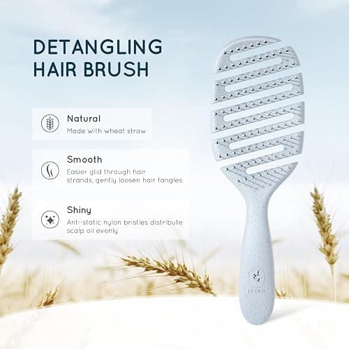 Ecoed Hair brush, Vented Detangling Brush, Quickly Detangles and Smooths hair for Curly, Thick, and Straight Hair, Hair Brush for Women and Men, Blue, Eco Friendly, Sustainable Material thumbnail 2