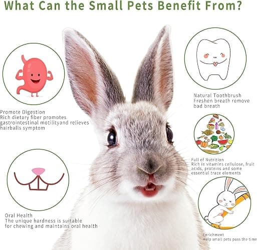 Petawi 45PCS Rabbit Guinea Pig Hamster Toys, Chinchilla Bunny Chew Toys for Teeth Apple Wood Timothy Hay Bamboo Sticks, Carrot Treats Balls for Rabbit Bunny Chinchilla Guinea Pig Hamster Rat thumbnail 4