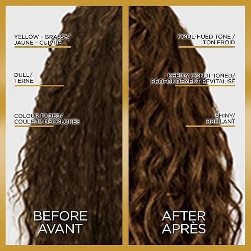 L'Oreal Paris Le Color Gloss One Step Toning Hair Gloss Treatment, Cool Brunette, Enhance Your Shine with this Semi Permanent Hair color, 1 Kit thumbnail 2