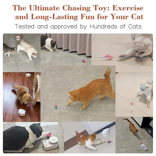 Interactive Cat Toy for Indoor Cats – Automatic Moving & Enrichment Toy for Indoor Cats/Kitten, Auto/Manual Control Cat Treadmill for Exercise & Mental Stimulation, Stimulating Chase Toys (H1K2) thumbnail 6