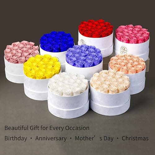 Preserved Roses Flower Box, Luxury Velvet Box with 20 Roses, Preserved Flowers, Romantic Gift for Her, Wife, Girlfriend, Birthday Anniversary Christmas (Royal Blue) thumbnail 7