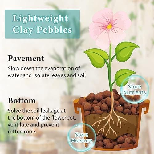 15LB Leca Clay Pebbles thumbnail 4