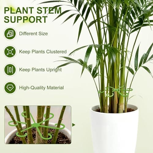 Tokyzexi 20PCS Plant Stem Supports for Monstera, 4 Sizes for Indoor Plants | Monstera Plant Supports for Thriving Growth, Stem Support for Climbing Indoor Plants, Reusable Green Plastic Accessories thumbnail 4