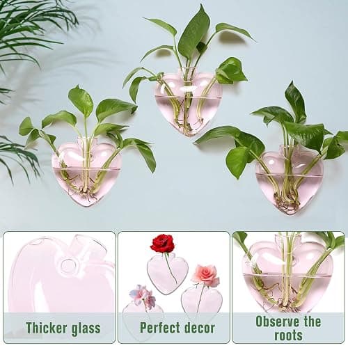 CYZglass Wall Hanging Planter Propagation Station for Indoor Plants Glass Vase Air Plant Holder Gift for Women Girlfriend Plant Lover thumbnail 4