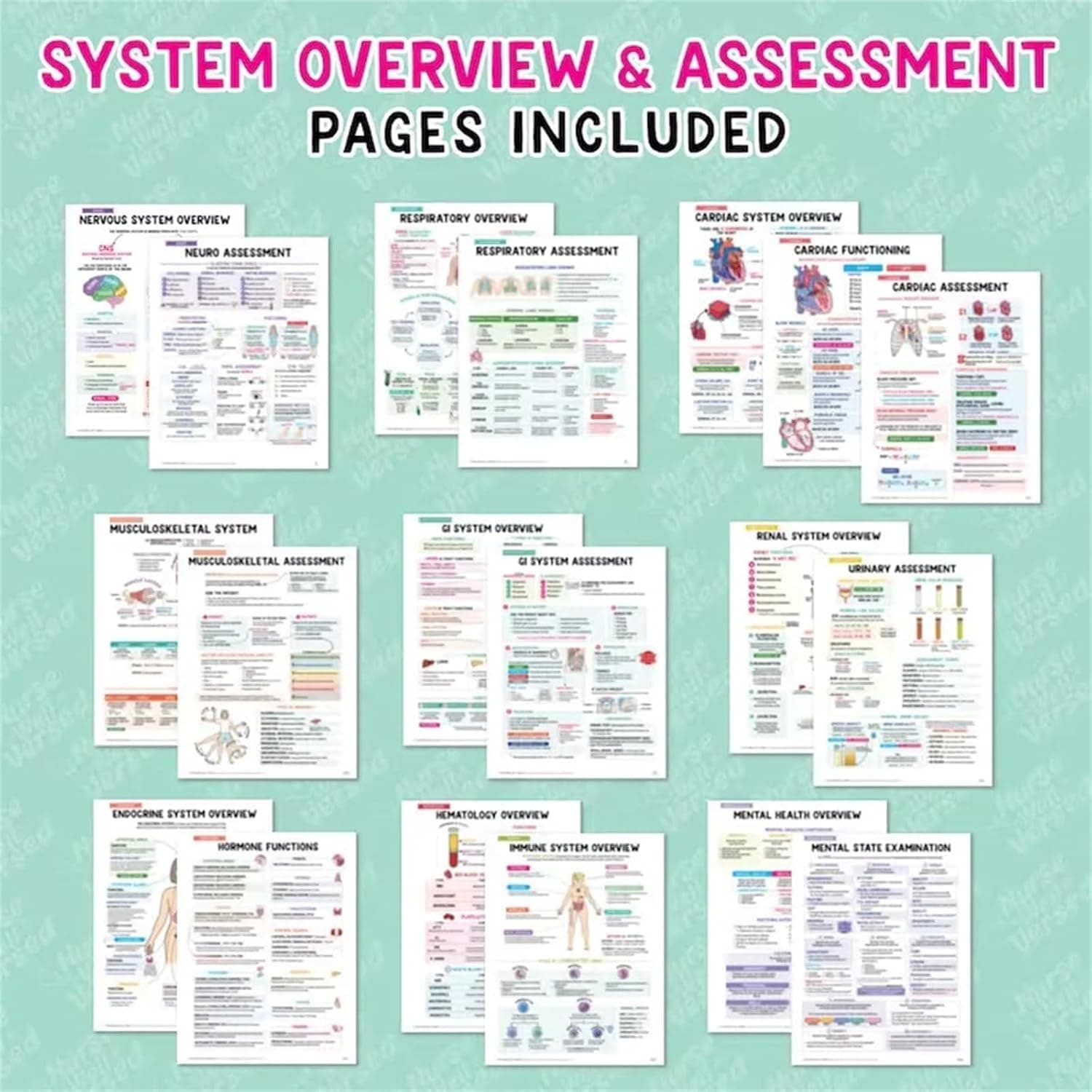 Nursing School Success Bundle,Nursing School Notes Success，Nursing School Success Bundle Nurse Well Versed,Nursing School Essentials thumbnail 3