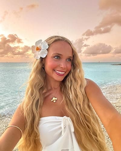 4Pcs Hawaiian Flower Hair Clips Hibiscus Hair Clip Plumeria Flower Beach hair accessories for Women Vacation Party thumbnail 2