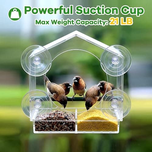 2PCS Window Bird Feeder with Strong Suction Cups, Bird Feeders for Outdoors, Clear Bird Feeder for Window, Outdoor Wild Bird Watching Gift for Women Mom Bird Lovers, Elderly Kids (1 Large+1 Small) thumbnail 6