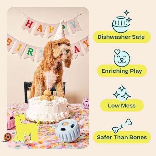 WOOF Party Pupsicle - Long-Lasting Interactive Dog Toys for Boredom - Low-Mess Design - Birthday Gifts for Dogs - Large Dog Toys - Buddy Blue thumbnail 4
